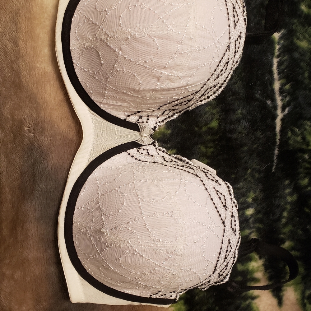 38G adore me bra